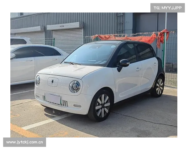 低价格快充灵巧代步车，长续航405km，好养更实用，实拍欧拉黑猫